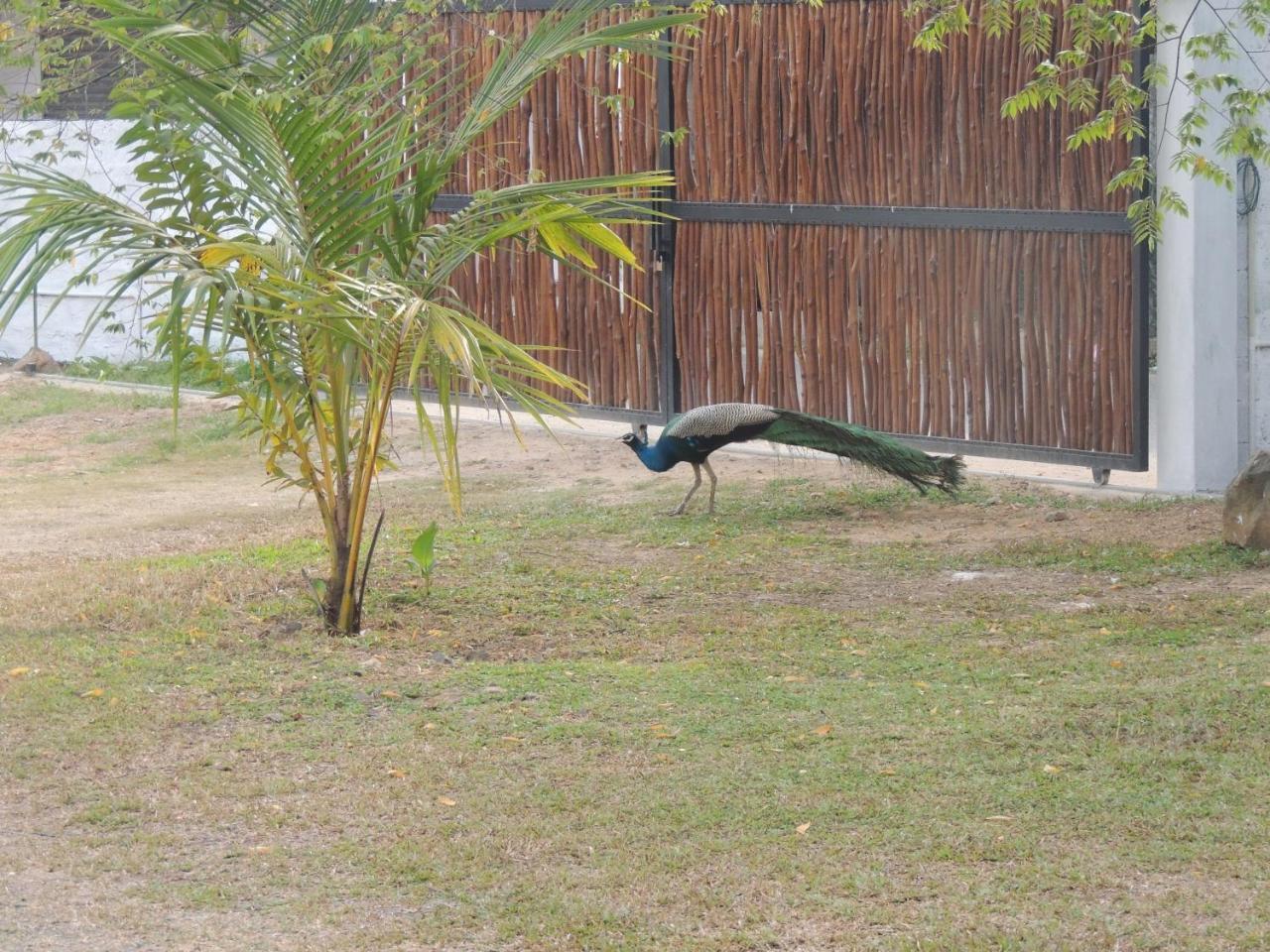 Ma Villa Unawatuna (Adults Only) Exterior photo